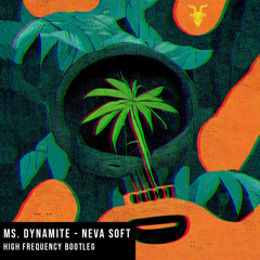 Ms. Dynamite - Neva Soft (High Frequency D&B Bootleg)