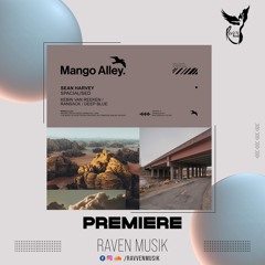 PREMIERE: Sean Harvey - Spacialised (Kebin Van Reeken Remix) [Mango Alley]