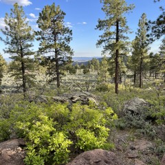 Boulder Mountain