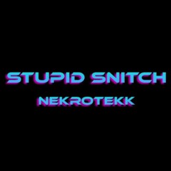 Stupid Snitch