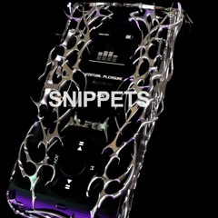 Virtual Pleasure (SNIPPETS)
