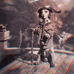 Bavarian Hard Jodel/Techno mit Franzl Lang