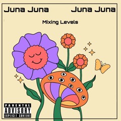 Mixing Levels - Juna Juna x Haëlo
