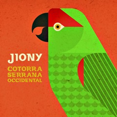 Jiony - Cotorra Serrana Occidental