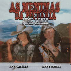 AS MENINAS DA PECUÁRIA (FUNK REMIX) - ANA CASTELA E DAVI KNEIP