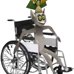 wheelchair julian
