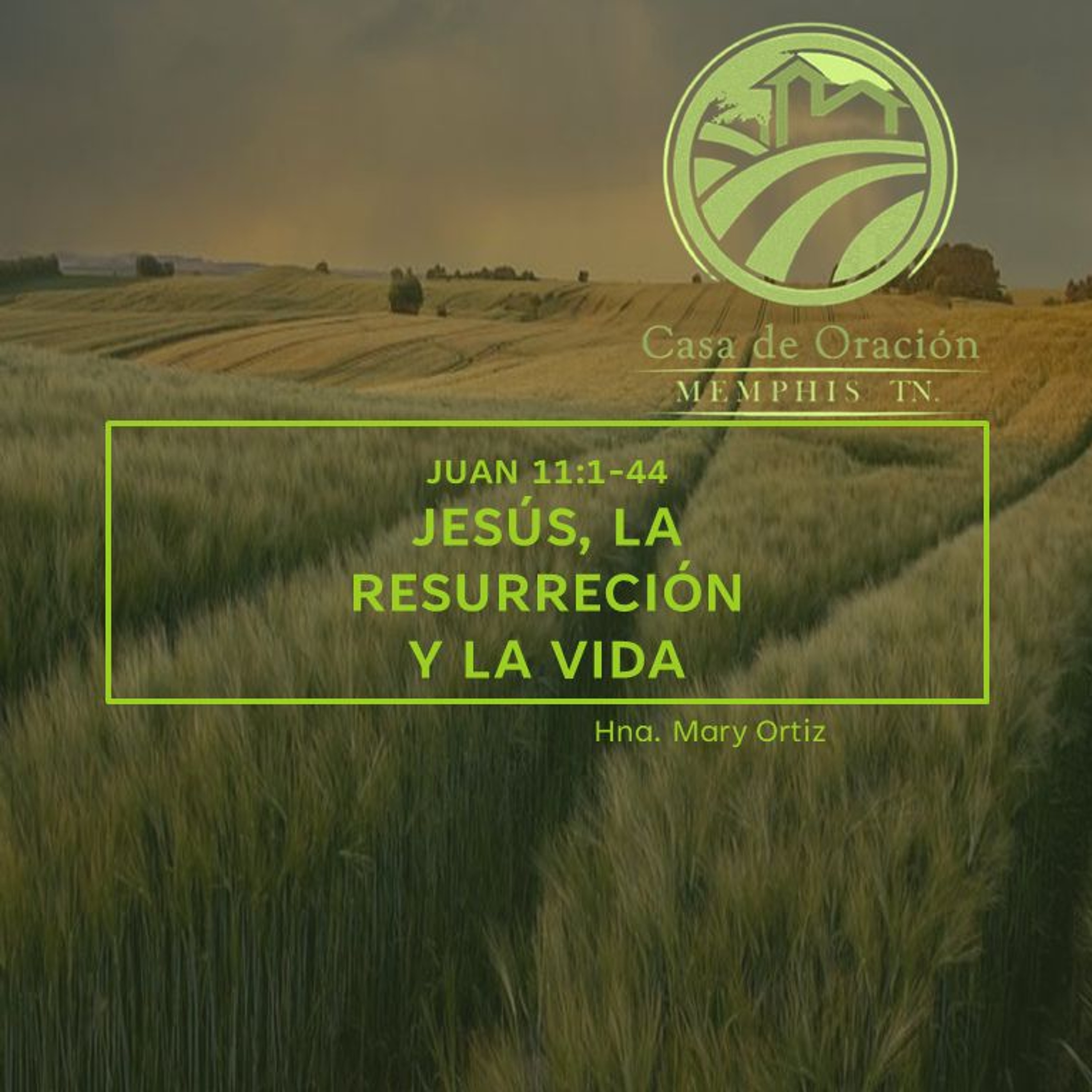 10 | Mary Ortiz | Jesús, La Resurrección Y La Vida | Juan 11:1-44 |10/03/24 episode artwork