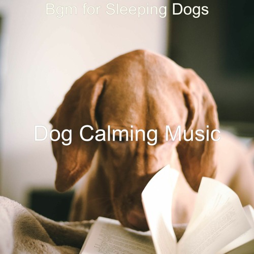 sleeping dogs music sleeping dogs music