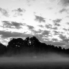 Qnat - Beyond The Window