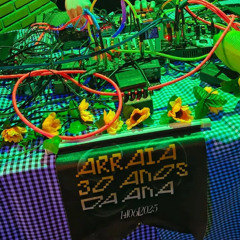 ARRAIA 30 ANOS DA ANA