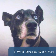 I Will Dream With You - LMU Concert Choir - Santiago Veros