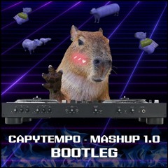 CAPYTEMPO - MASHUP 1.0 BOOTLEG FREE DL