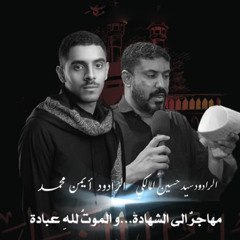 أيمن محمد | سيد حسين المالكي | على نهج الحسين | حرم الحجاج 1443هـ