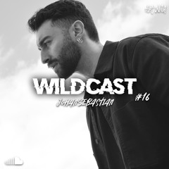 Podcasts and mixes