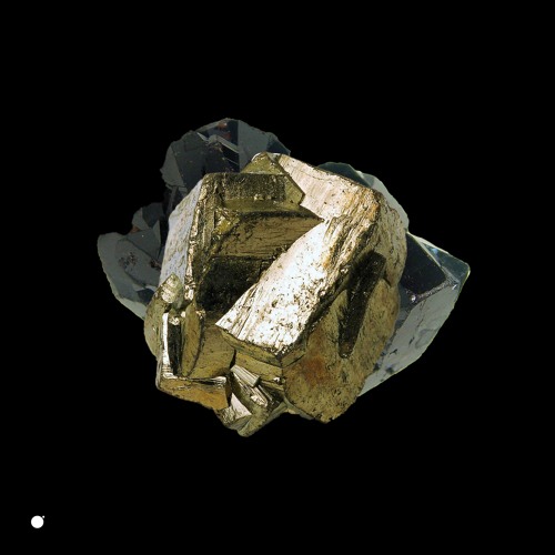 PREMIERE: Amirali Shakoori - Ivory (Original Mix) [Wout Records]