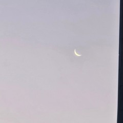 Moonstruck Love (Feat.RE;A)