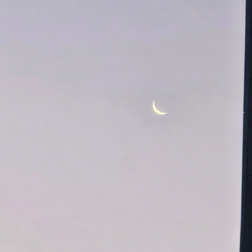 Moonstruck Love (Feat.RE;A)