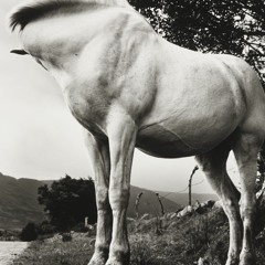 Goodbye Horses (Q Lazzarus Cover)