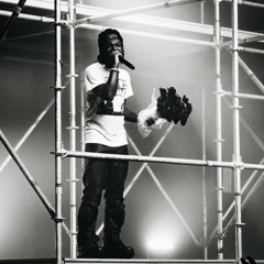 perfect/delusional NEW SNIPPET KEN CARSON