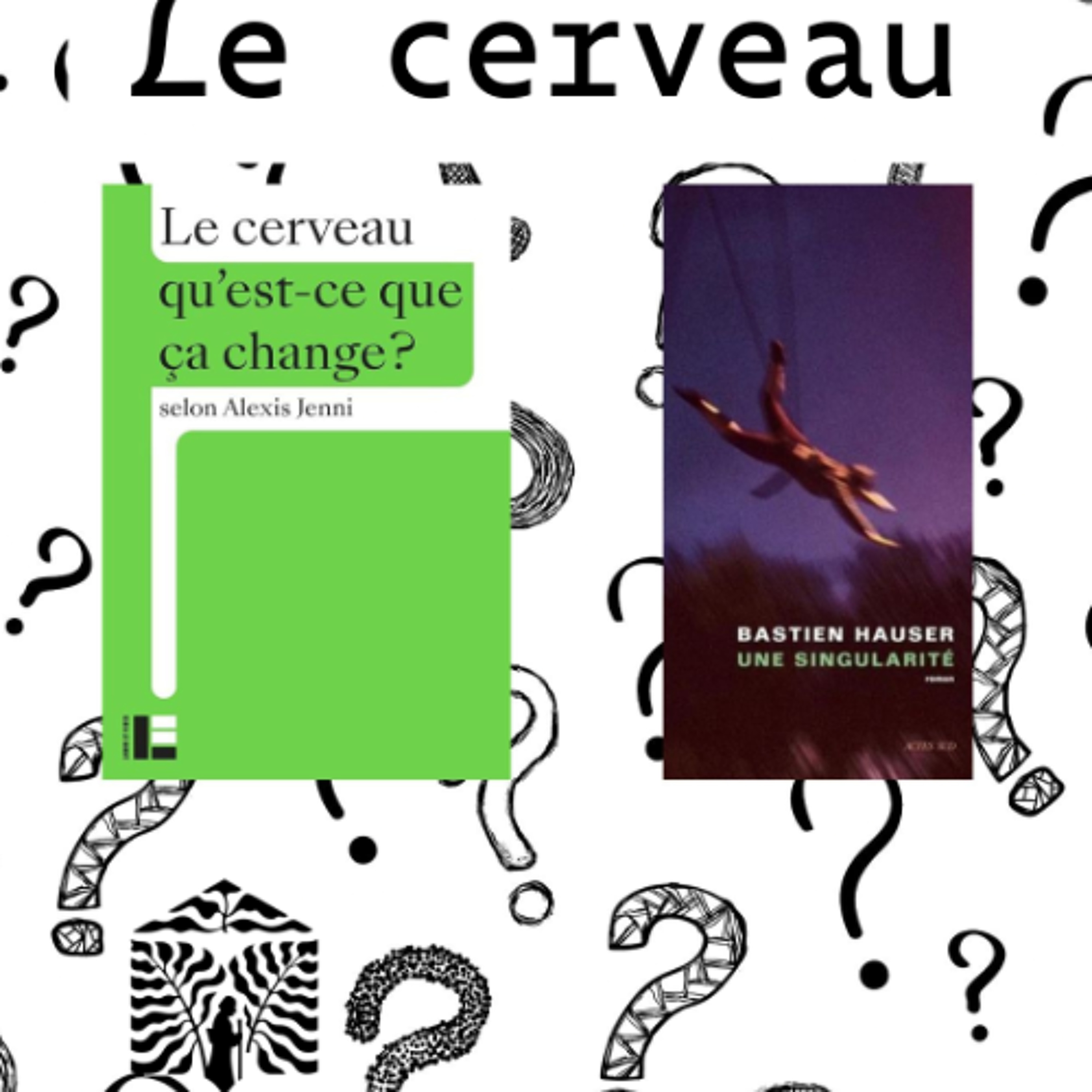LE CERVEAU / UNE SINGULARITÉ