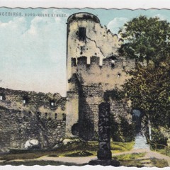 Asta Delavi - maddest 2017