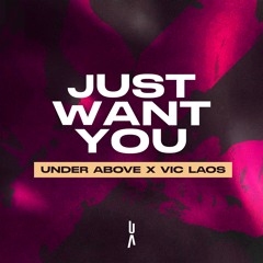 Just Want You - Extended Mix