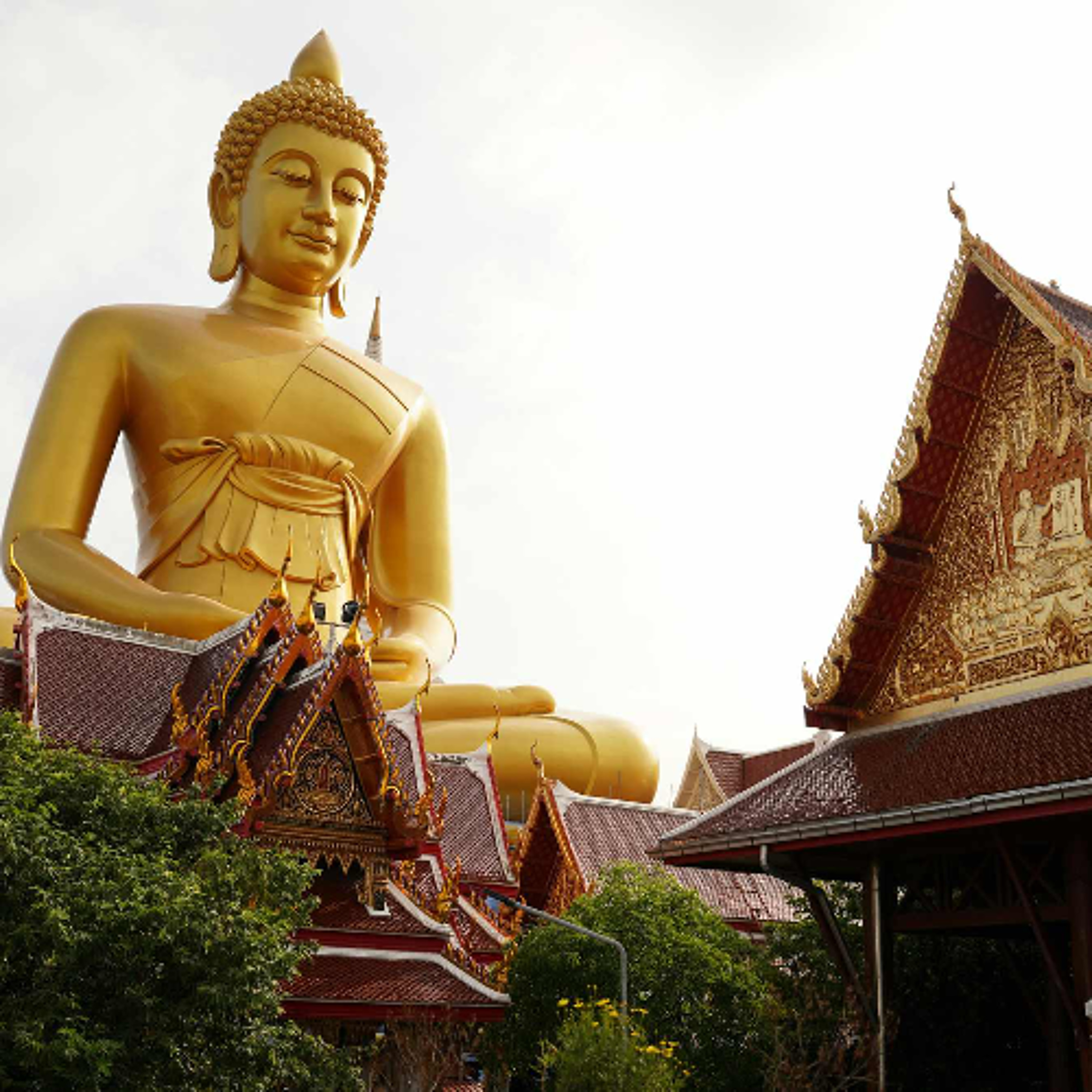 Ep. 554 Riflessioni su muditā