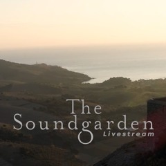 Marcan Liav / The Soundgarden LiveStream / Fort de la Galline