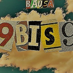 9bis9  (HRDTKK)