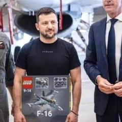 Воин в поле один (зеленский ремикс)