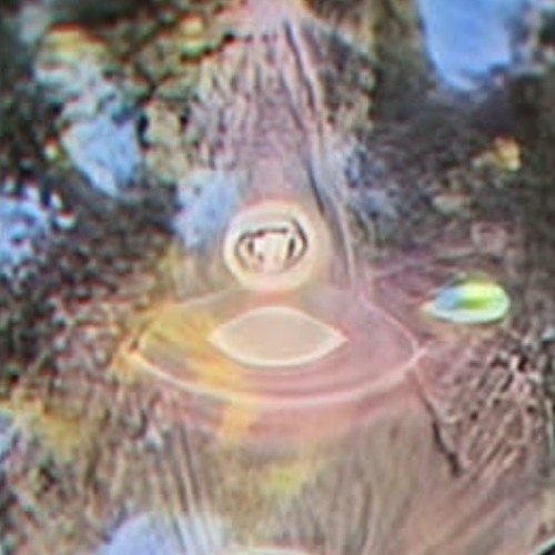 Ryan Best Grok (Original Mix)