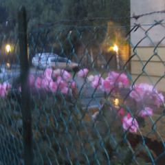 rick sinners @victim03