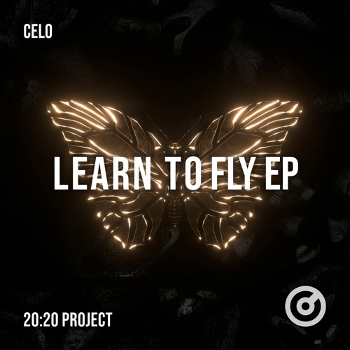 CELO - Learn to fly (20:20 Project Part 11.1)