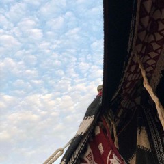 ونُفِخ في الصُور || محمد الوكـِيل