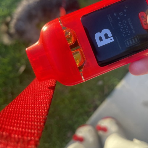 always love - d4vd x hyunjin ( loop )