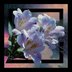 Astraeus