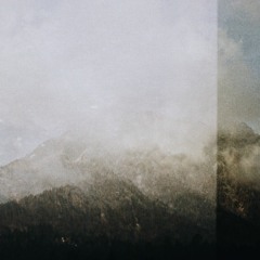 Wood Flower // Solitude