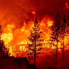 forest fire!