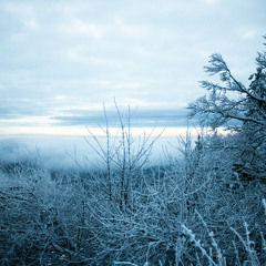 Frozen in Time