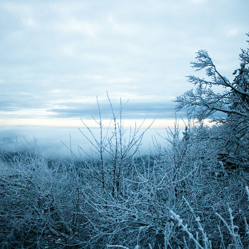 Frozen in Time