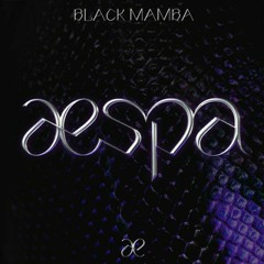AESPA - BLACK MAMBA [MALE VERSION]
