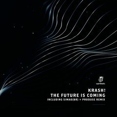KRASH! - The Future Is Coming (SIMAO (BR) Remix)