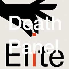 Elite Capture w/ Olúfẹ́mi O. Táíwò (08/25/22)