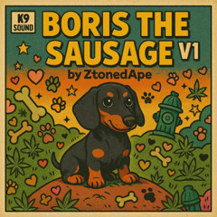 🐾 BORIS THE SAUSAGE – HIP-HOP TALE 🐾