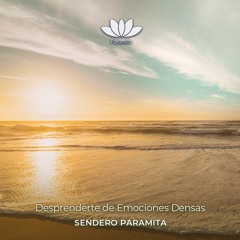 Desprendiendote De Emociones Densas
