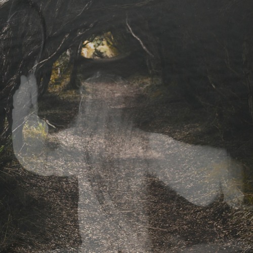 Knives in the Forest