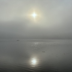 misty morning