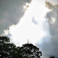 Flight Lounge ~ Land of the Wolves