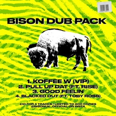 Bison - Dubpack Showreel