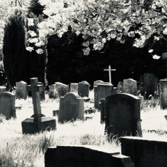 g r a v e . (p. sheepy)